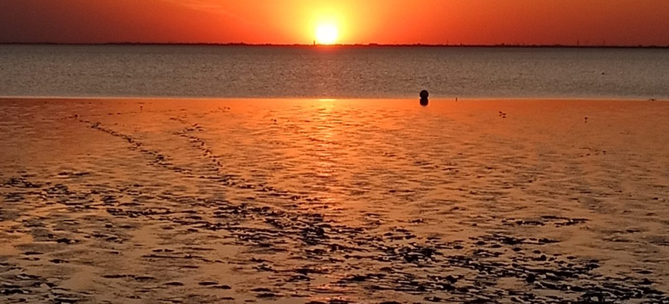 Sonnenuntergang über dem Jadebusen (Foto: Welf-G. Otto 2024)